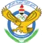 القوة الجوية
